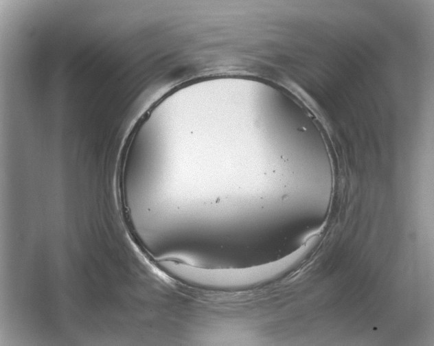 X0000064771293200603031815