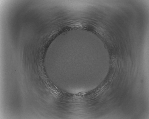 X0000064771297200603031815