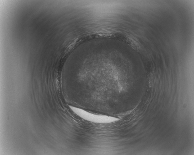 X0000064771298200603031815