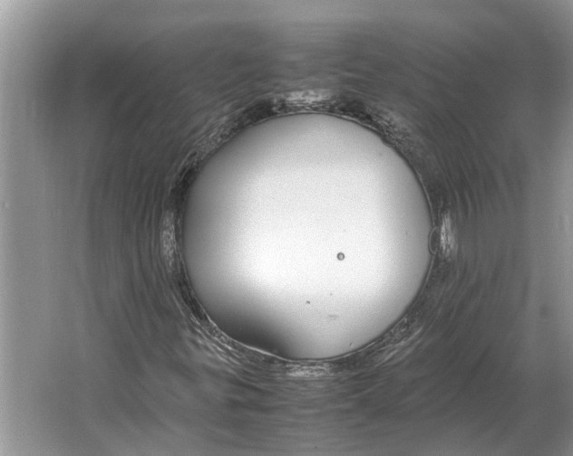 X0000064771299200603031815