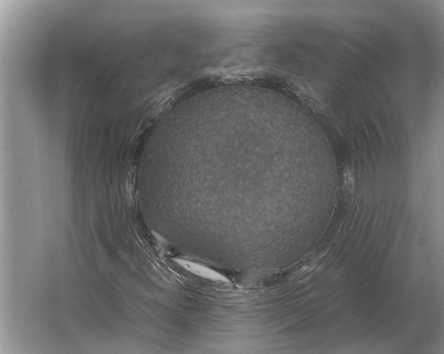 X0000064771300200603031815