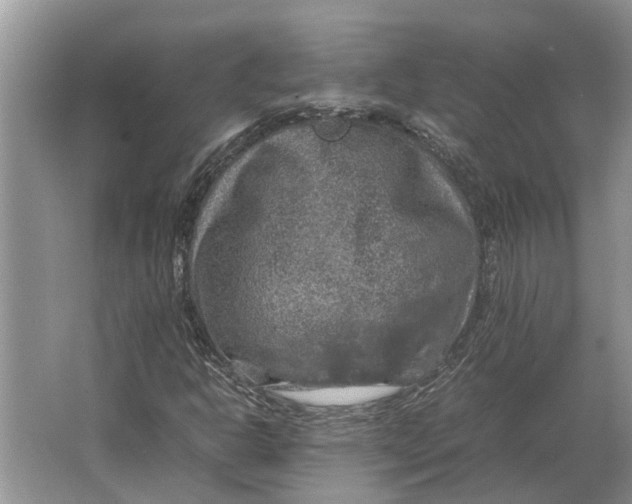 X0000064771302200603031815