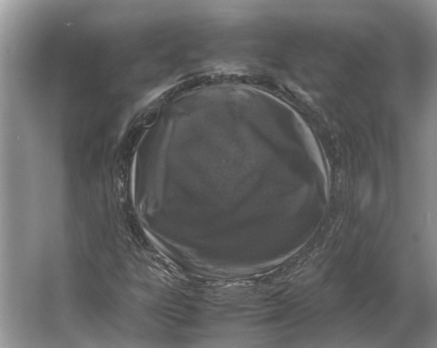 X0000064771303200603031815