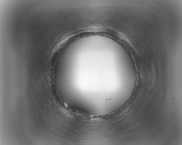 X0000064771304200603031815