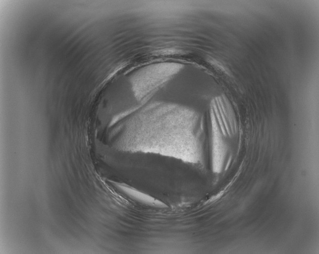 X0000064771305200603031815