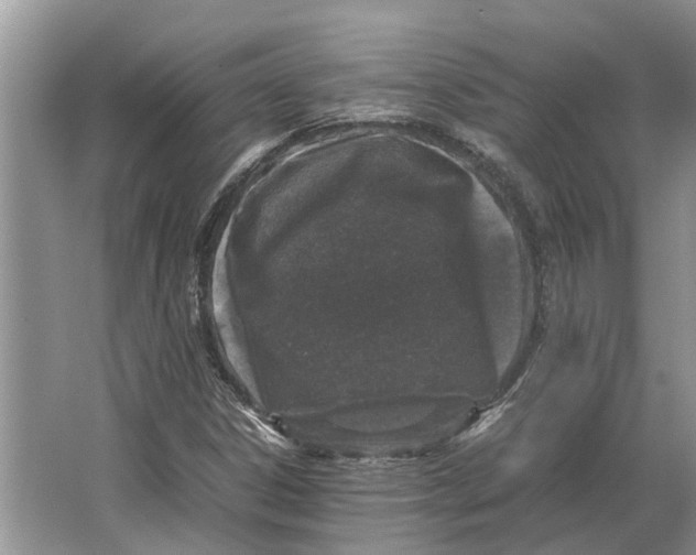 X0000064771306200603031815