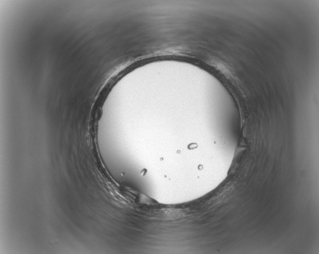 X0000064771308200603031815