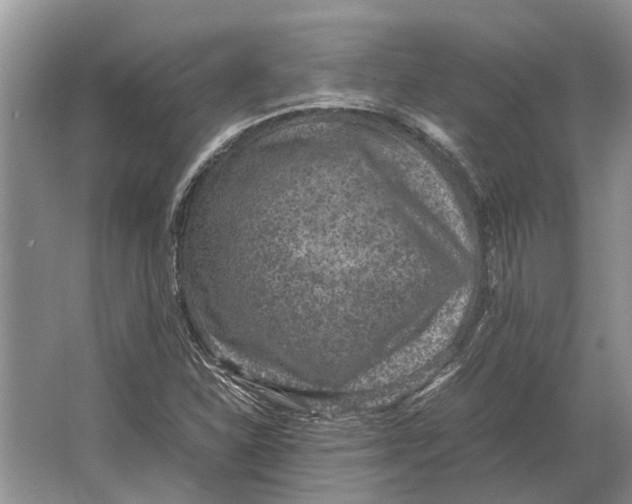 X0000064771310200603031815