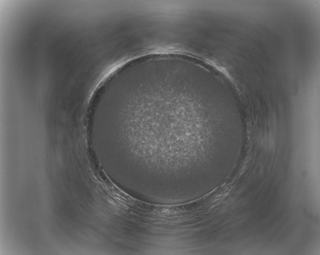 X0000064771311200603031815