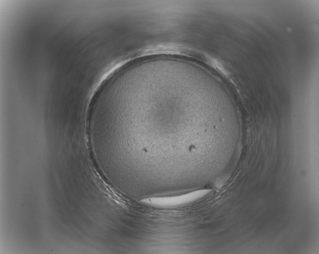 X0000064771312200603031815