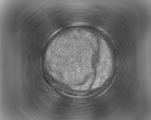 X0000064771313200603031815