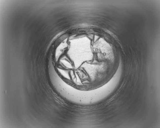 X0000064771314200603031815