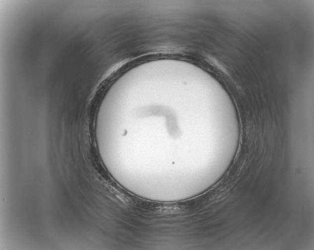 X0000064771315200603031815