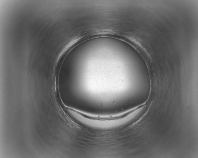 X0000064771317200603031815