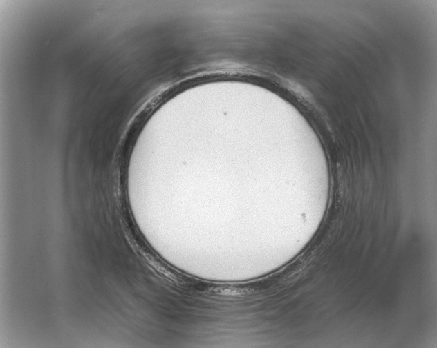 X0000064771318200603031815