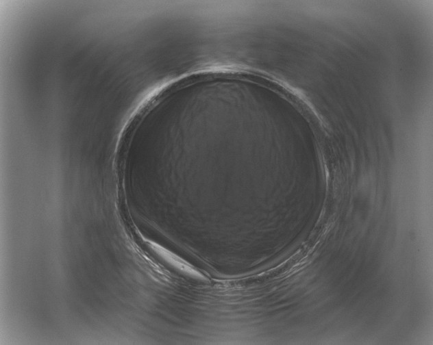 X0000064771319200603031815