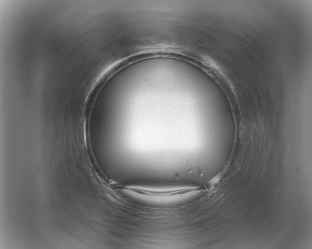 X0000064771320200603031815