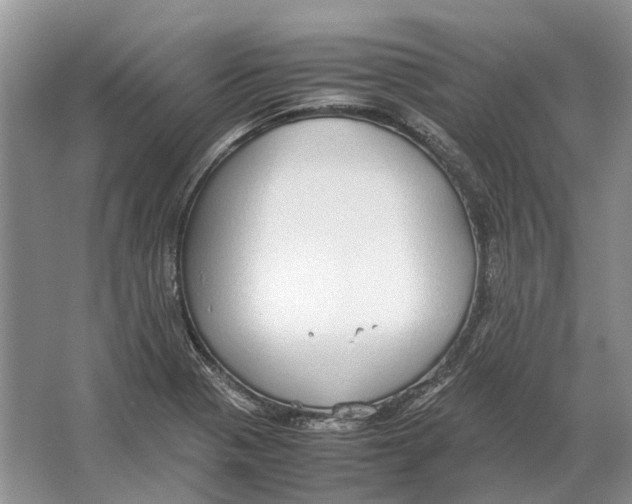 X0000064771321200603031815