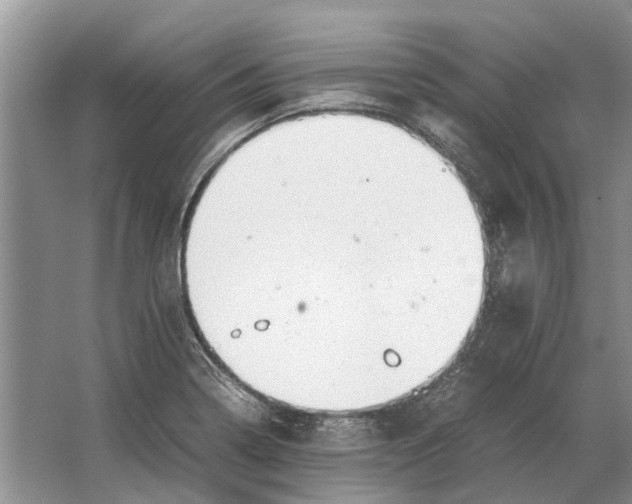 X0000064771322200603031815