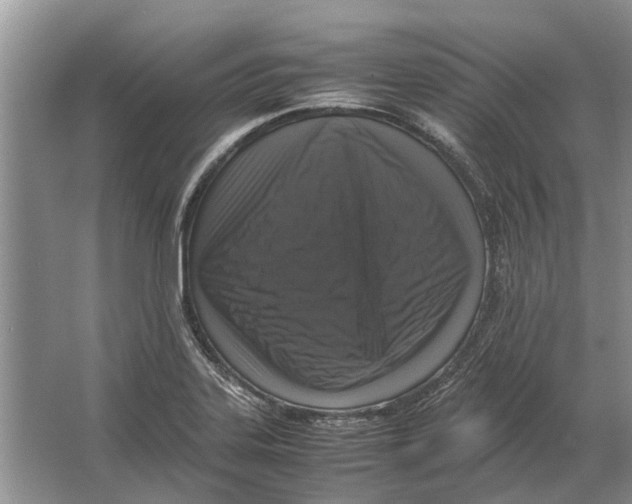 X0000064771323200603031815