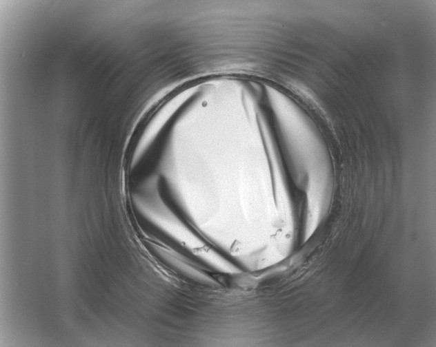 X0000064771324200603031815