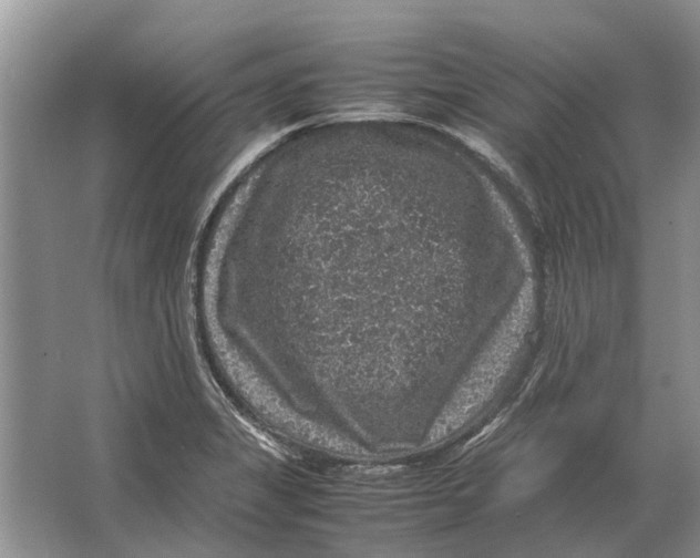 X0000064771325200603031815