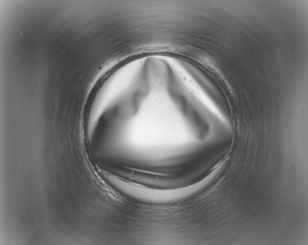 X0000064771328200603031815