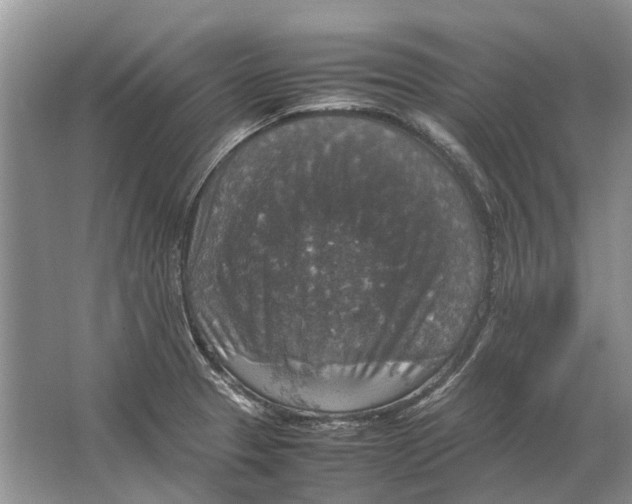 X0000064771329200603031815