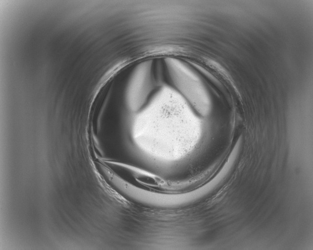 X0000064771330200603031815