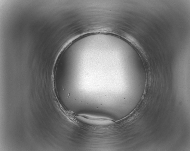 X0000064771332200603031815