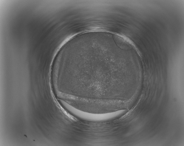 X0000064771333200603031815