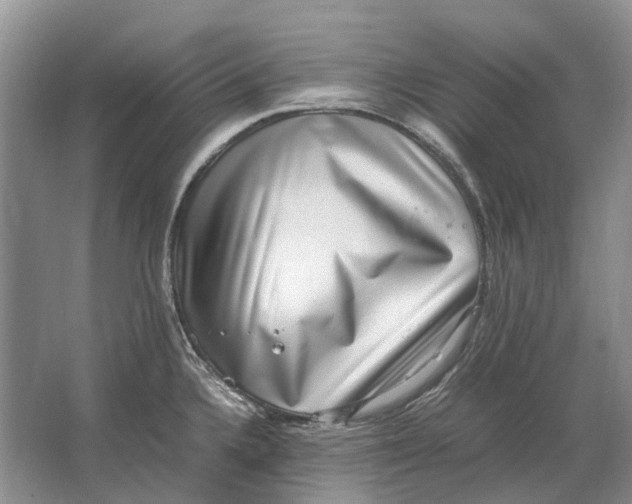 X0000064771336200603031815