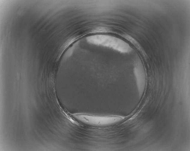 X0000064771337200603031815