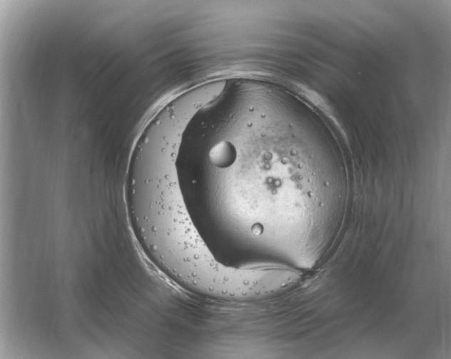 X0000064771338200603031815