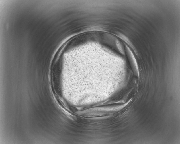 X0000064771339200603031815