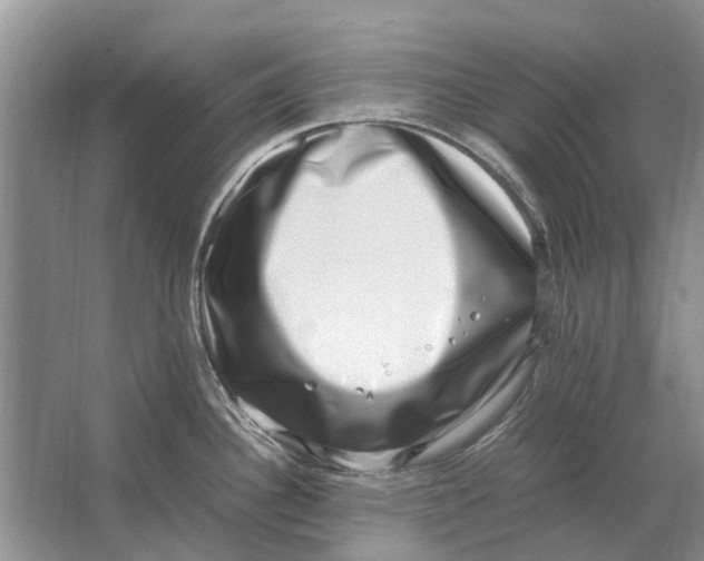 X0000064771340200603031815