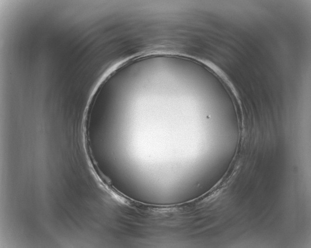 X0000064771341200603031815