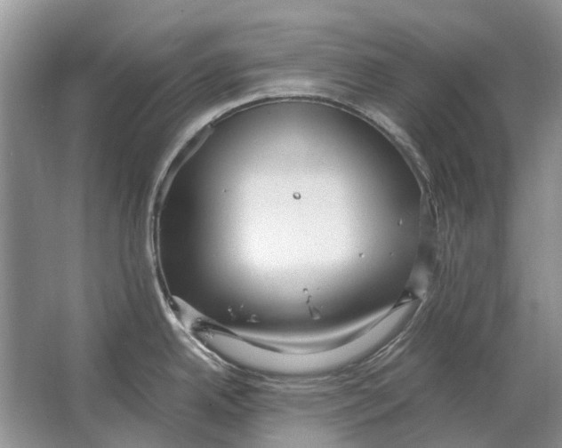 X0000064771342200603031815