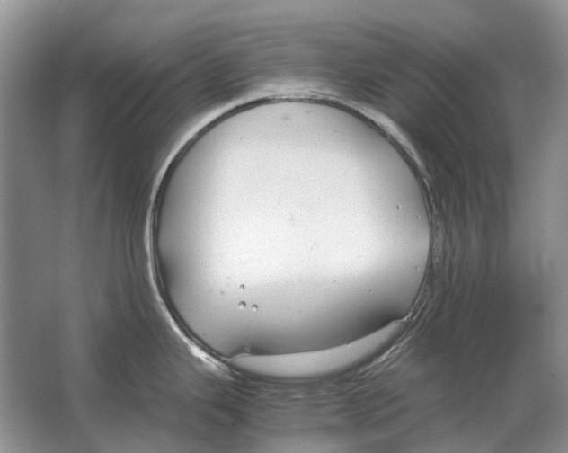 X0000064771343200603031815