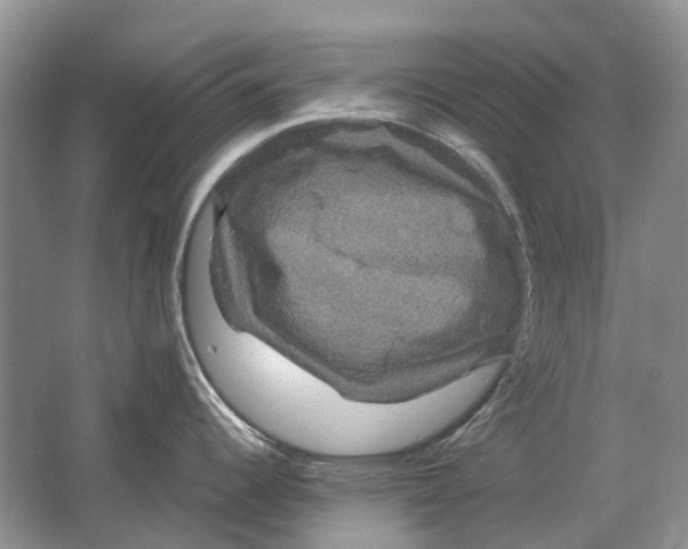 X0000064771344200603031815