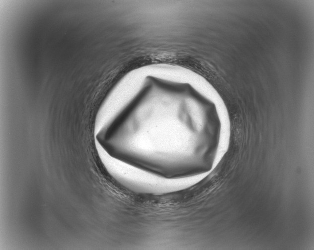 X0000064771345200603031815