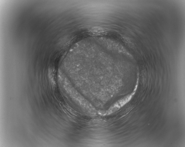 X0000064771346200603031815