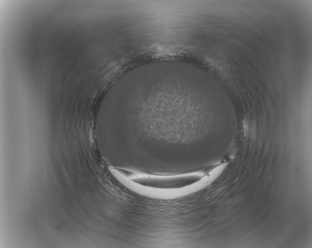 X0000064771348200603031815