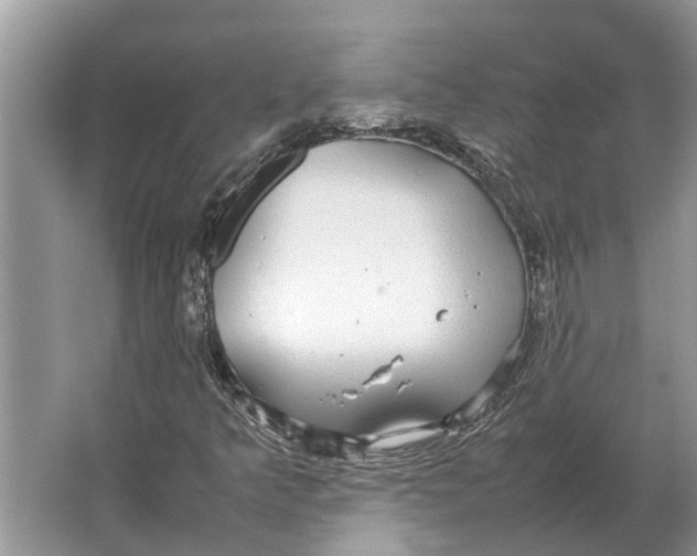 X0000064771349200603031814