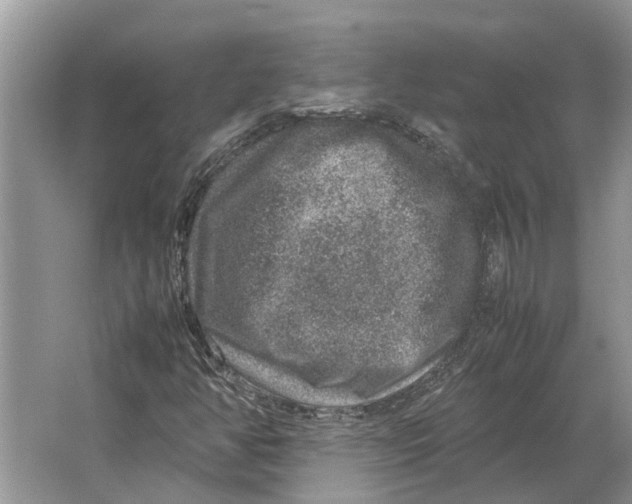 X0000064771350200603031814