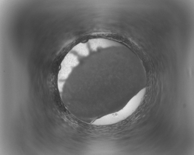 X0000064771351200603031814