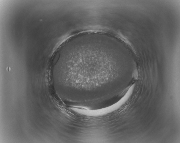 X0000064771352200603031814