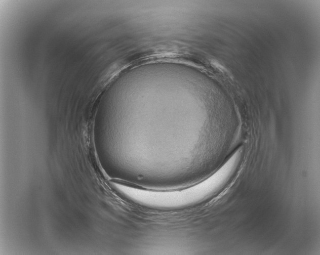 X0000064771353200603031814