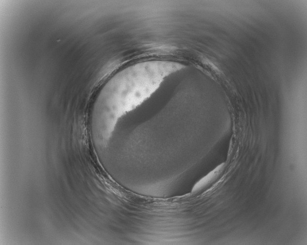 X0000064771354200603031814