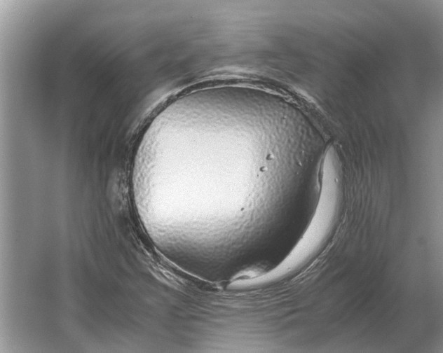 X0000064771355200603031814